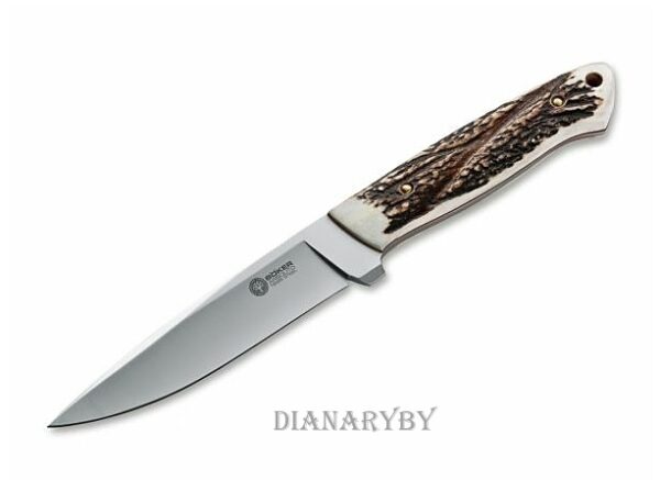 dyka-boker-arbolito-r