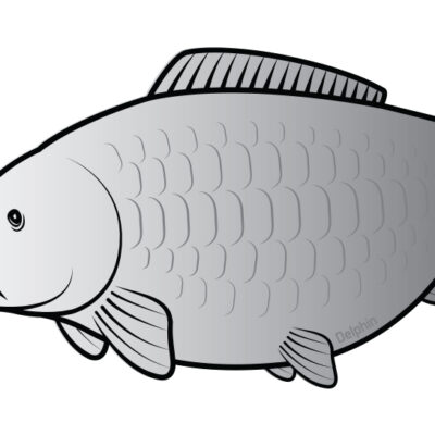 Nálepka kapor SILVER