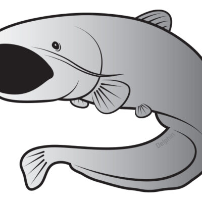 Nálepka sumec SILVER